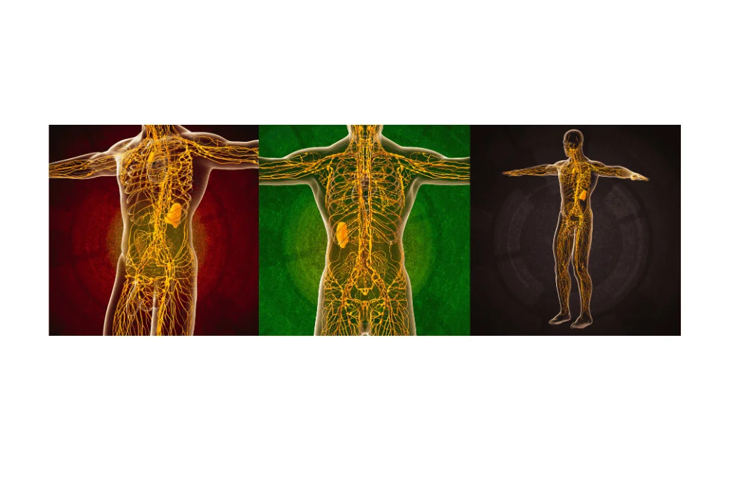 Benefits of lymphatic drainage massage